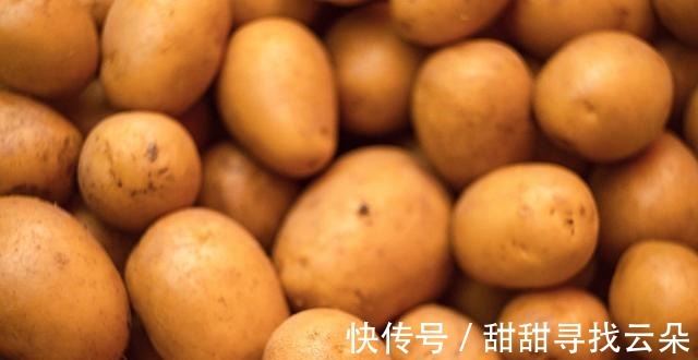 鲜蔬粉|冬日必吃的5种“根菜王”,通便又助阳!附15道素食谱!