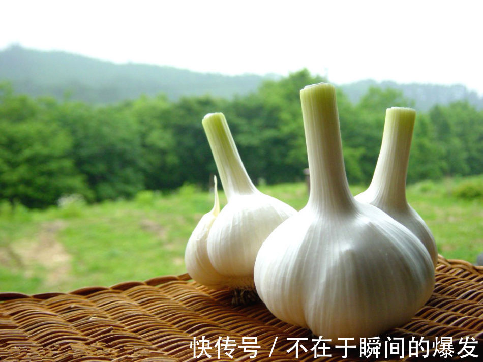 食物|妇科专家,3种味道重的食物,是妇科病''克星'',你清楚吗