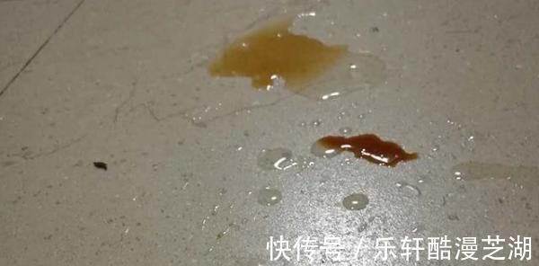 建议男人若条件允许，给老婆添置这3样生活“小物”，不贵却温馨