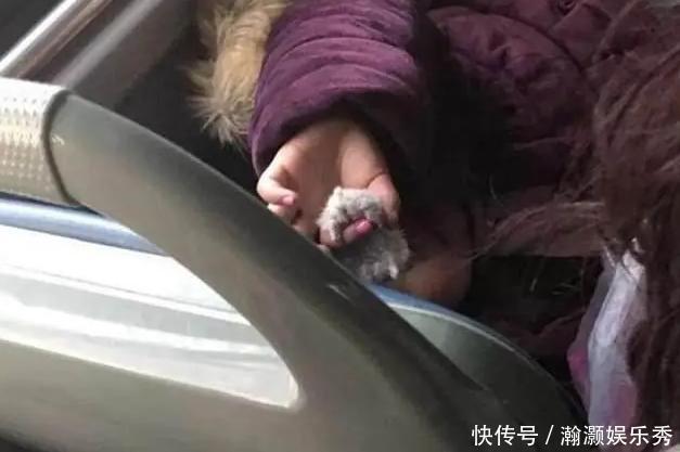 仓鼠|公交车上,5岁女孩的“恶心”行为令乘客反感,网友:让妈教坏了