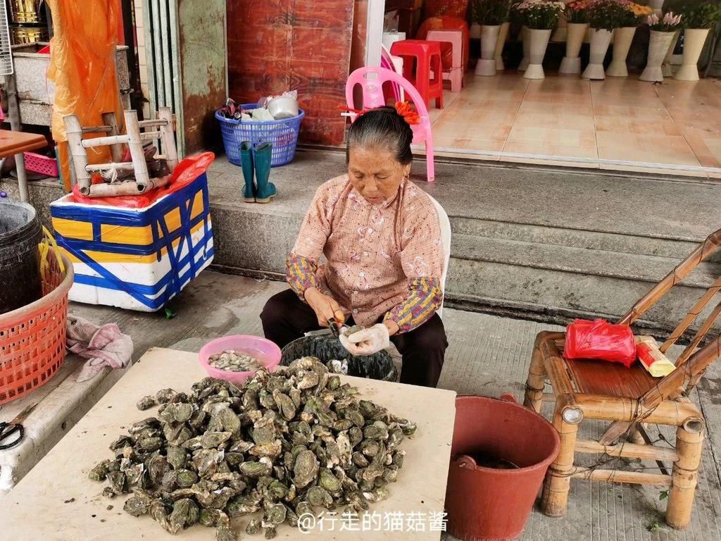 房子|闽南的这个神奇村落，用海蛎壳建房子，居住的是阿拉伯人后裔