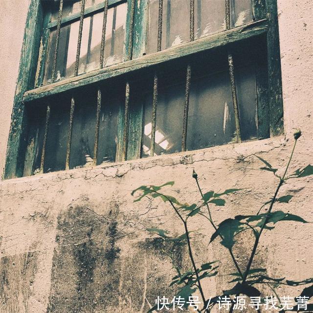 快没了|根本停不下来!金山这个有着百年历史的季节限定美食,再不吃就快没了……