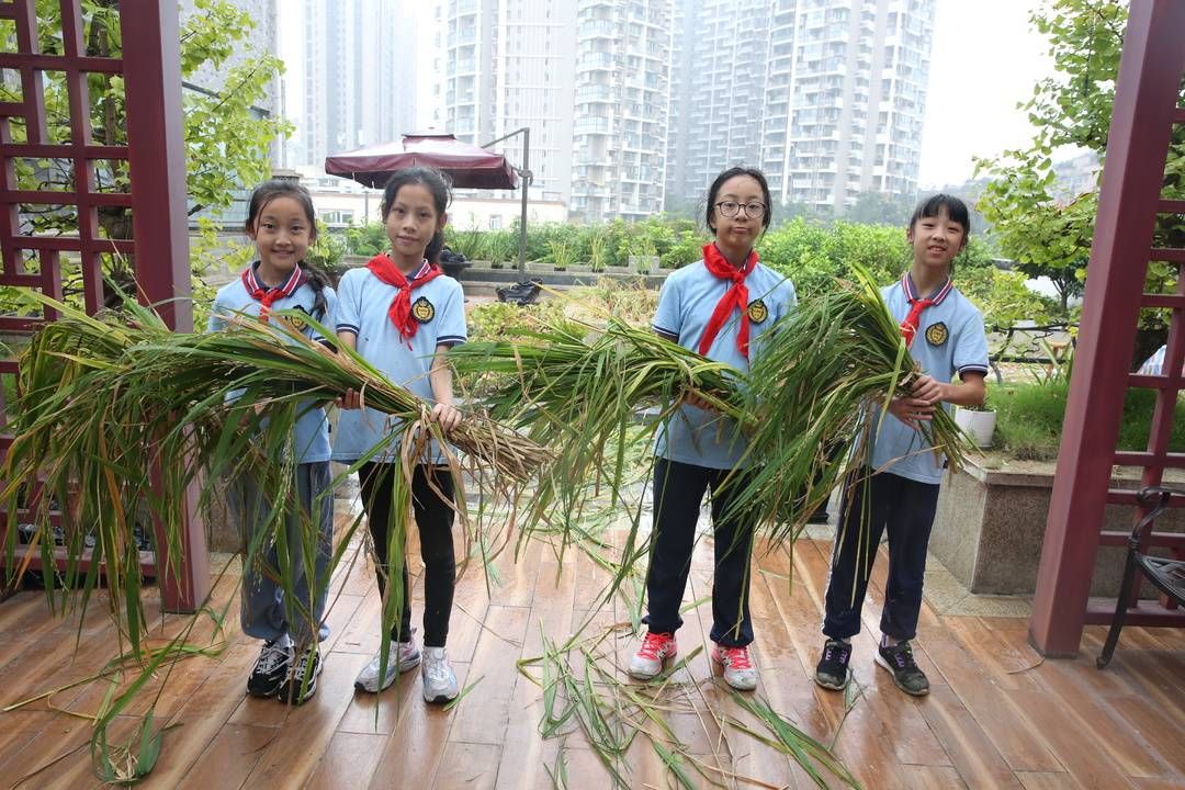 何方迪|新时期劳动教育看成都 全国中小学生劳动教育现场推进会在蓉召开