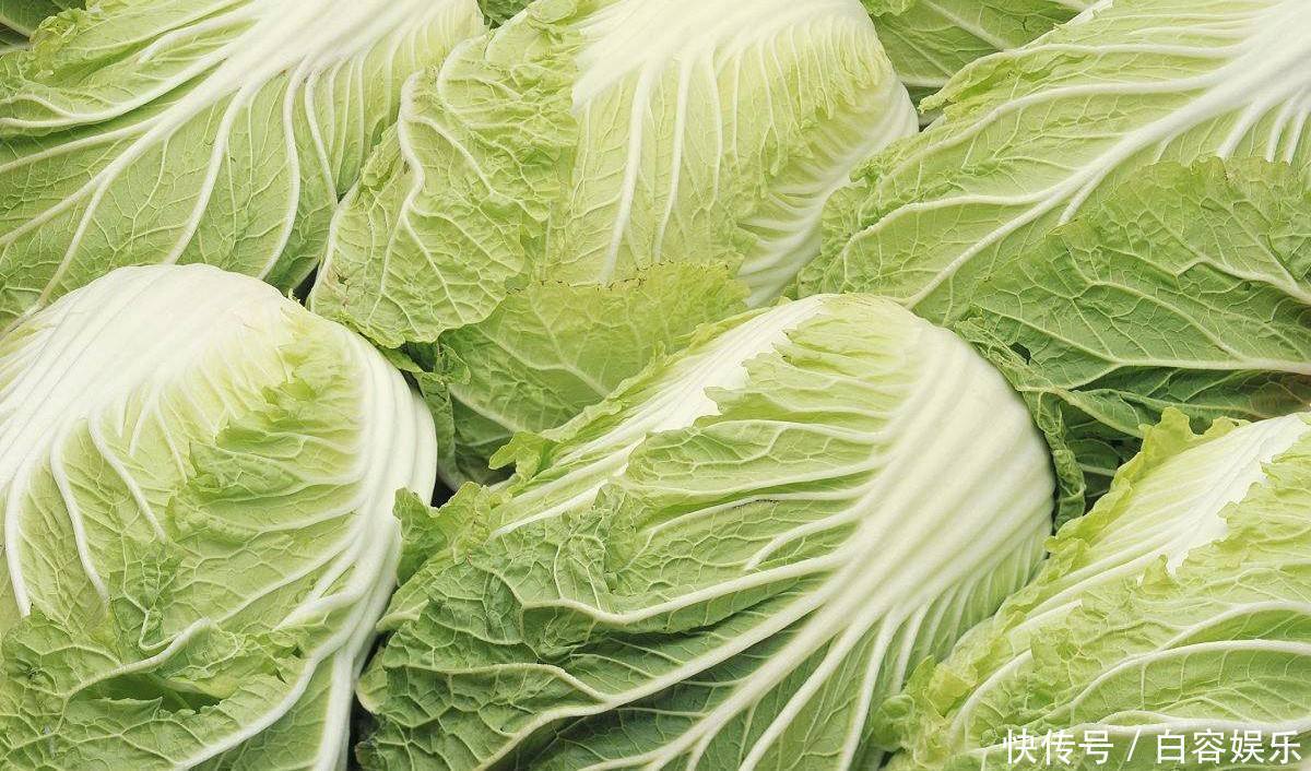白菜总是长虫只要用家里的两种调料，就可以消灭掉虫子！