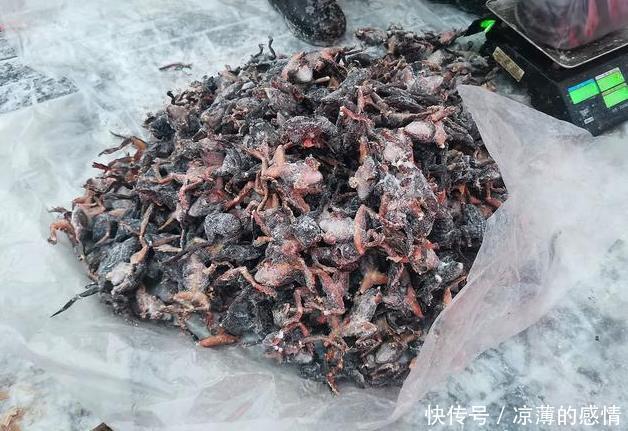 东北的冬季万物皆可冻,这些从未消失的老东北冻货,让你大开眼界