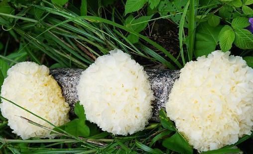 养颜|再穷也要吃的碱性食物,美容养颜、抗衰老,和“黄脸婆”说再见