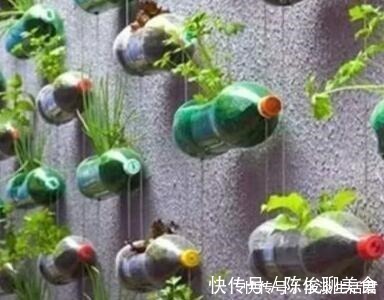 漂亮|这些破烂不要扔，做成“小花盆”，个性又漂亮，比买的强“百倍”！