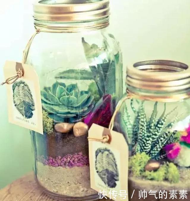 只要脑洞够，万物皆可花盆