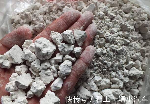 营养价值|冬季干燥,记得常吃3种食物,可以滋润祛火,甜甜的,好吃营养高