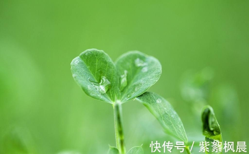 价值观@命运该如何改写,超越自我精神和文化层面的另一个自己,你看不见