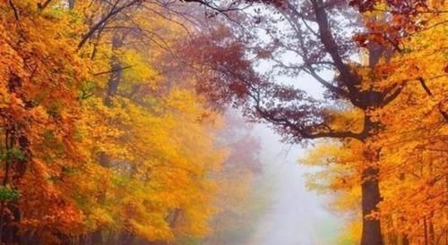 一回醉#苏轼一首悲秋词,道尽人生悲凉,让人叹息,人到中年方能明白