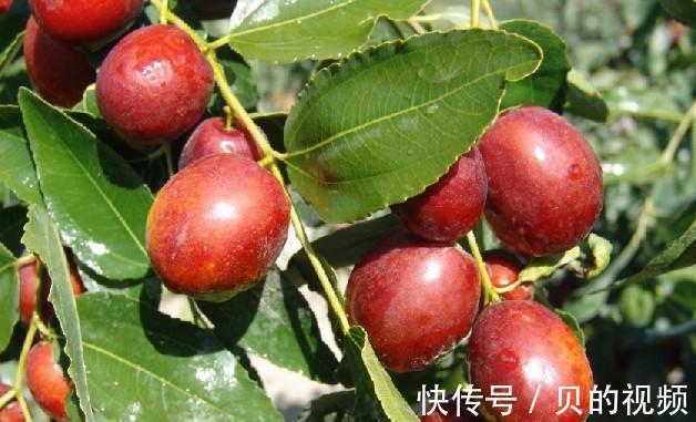 桃姐|别再让孩子“狂喝”牛奶，医生透露：2种“果”可敞开吃，助长个