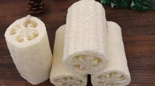 煤块|养花烂根不是大问题!土里埋点它,根须刷刷长满盆,越来越壮实