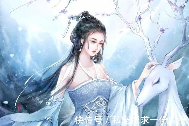 男主!5本差点因为书名而错过的小说,虽然名字很普通,但内容却很精彩