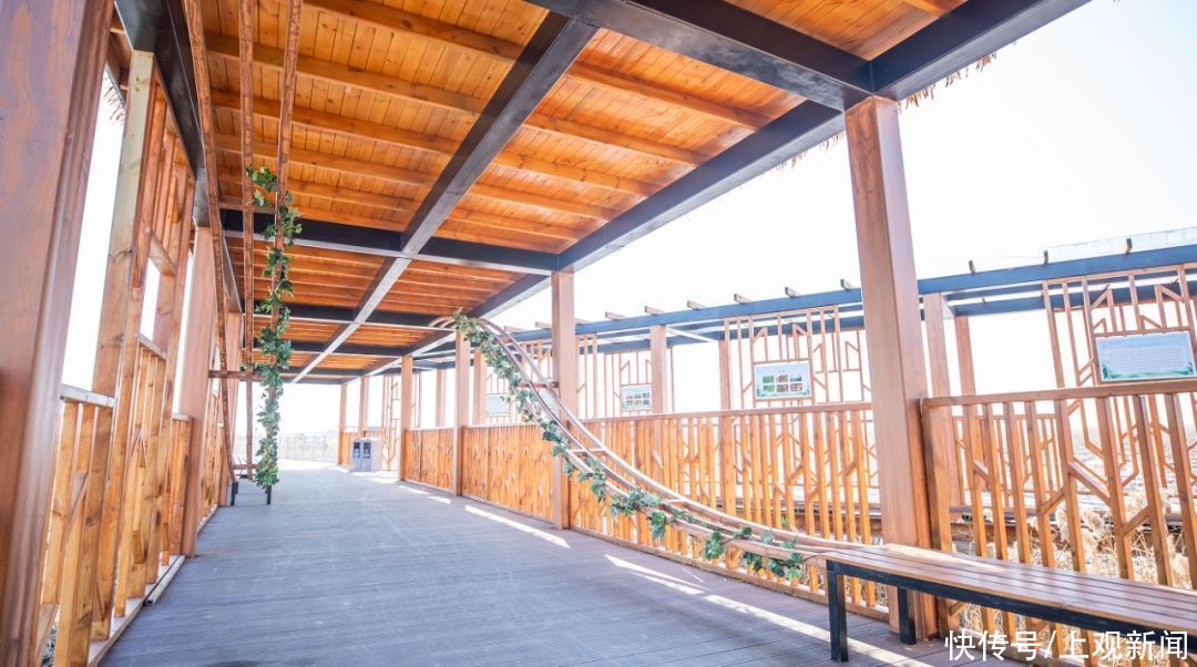 西沙湿地开园啦