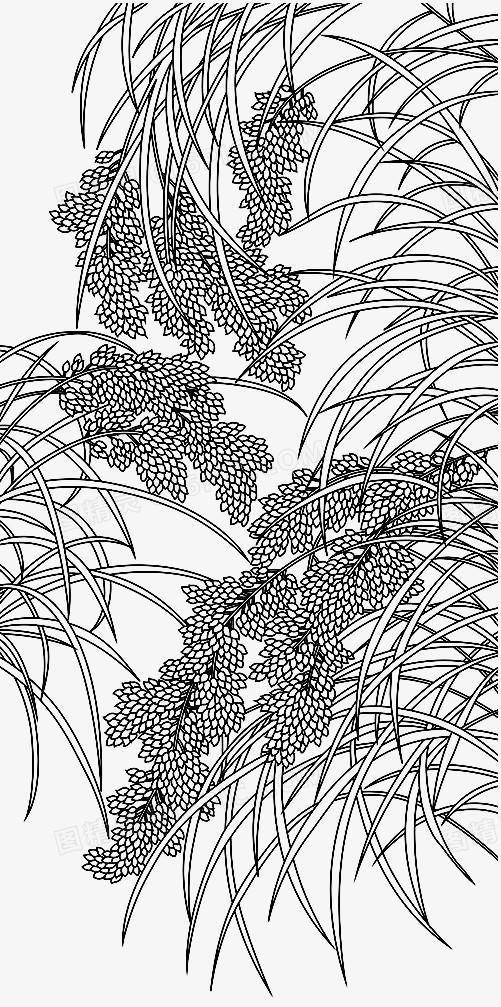 大米#当代散文｜|这才是稻虾的味道