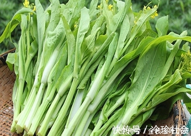 养生|长寿多吃3种“排毒菜”,清肠排毒,护肝养肾,增强体质没病扰