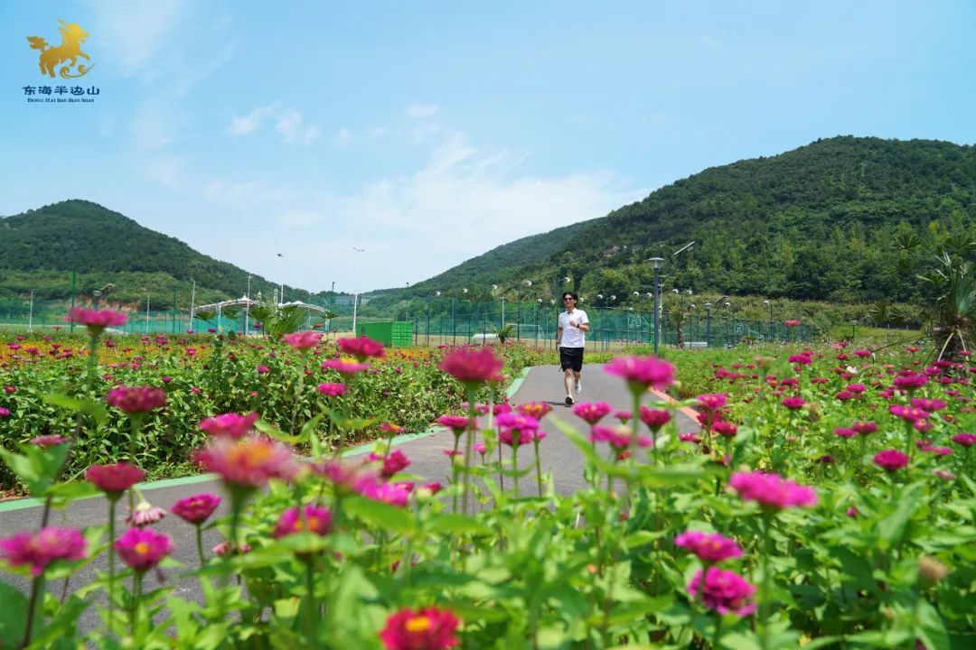 旅游度假区|东海半边山 ： 亚运一周年倒计时，我们准备好了！
