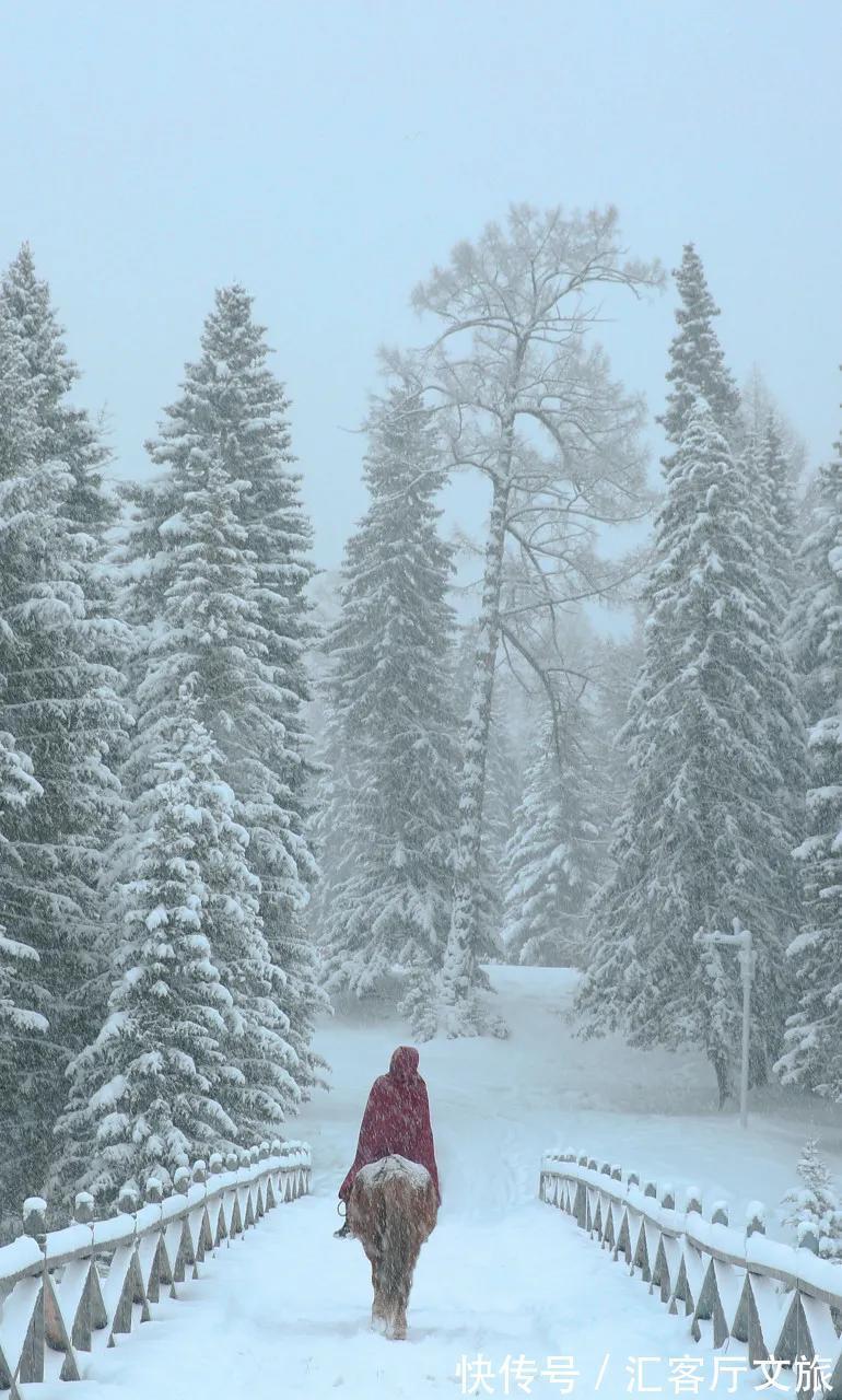 北方|北方初雪！10个让国人艳羡的赏雪地，你去过几个？