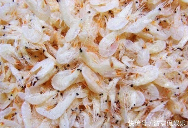 海带|原来吃虾皮并不补钙真正补钙的3种食物,其实很多人都不爱吃