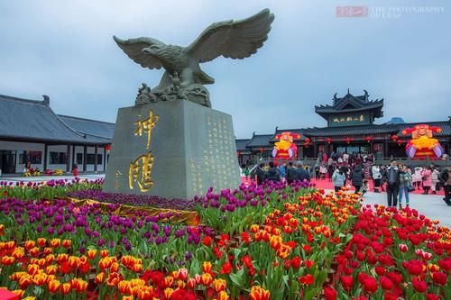 屋檐、地面雪白一片，大朵“雪花”从天而降，浙江宁波下雪了