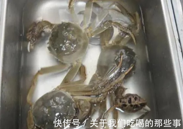 冷藏|螃蟹吃不完，最忌直接冷藏，学会2个小妙招，放1周还鲜活，不掉肉