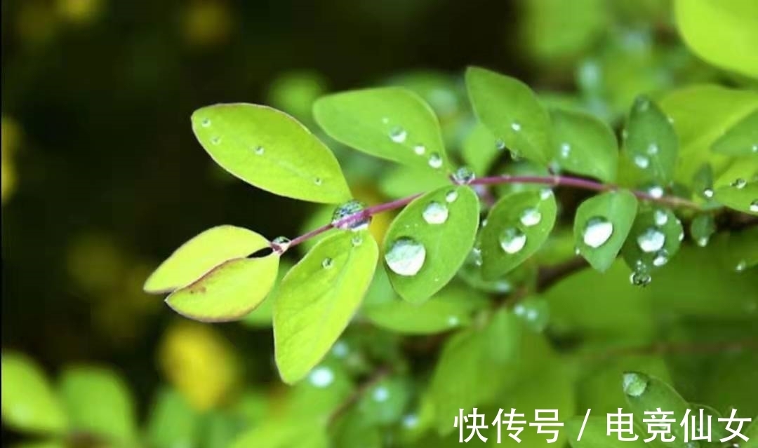 诗人$在关于“雨水”的古诗词中,这首诗尤其美妙,有多少人读过?