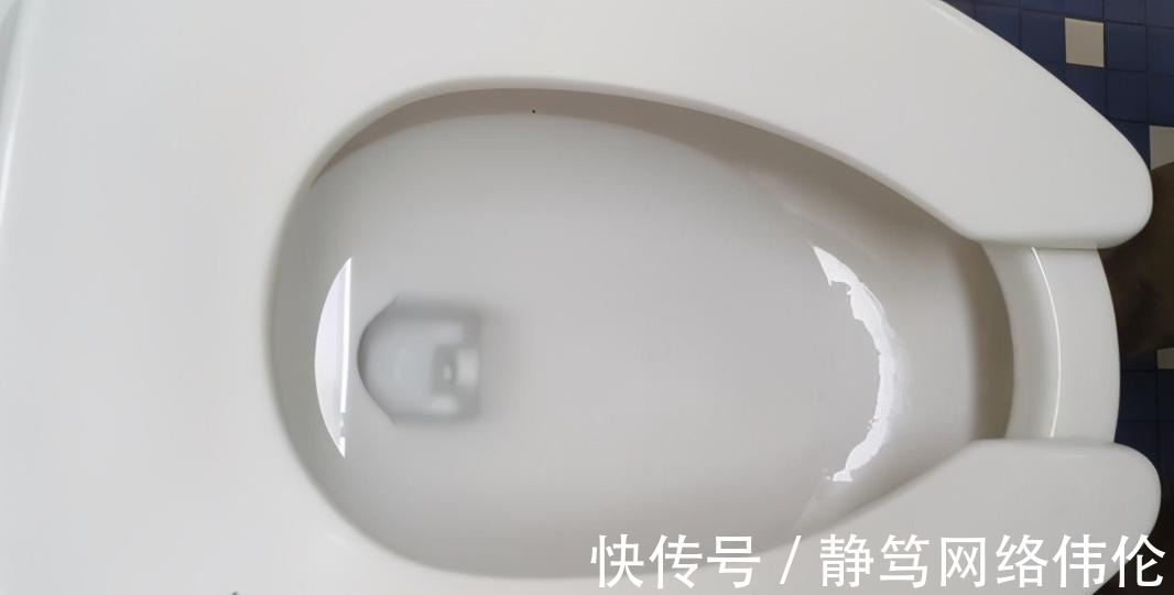 椭圆形|为什么美国的女厕所，马桶前会有一个缺口？