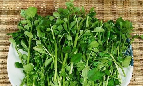 张医师|想长寿全靠吃，3种食物不错过，排毒养颜，清理肠胃，好处多多
