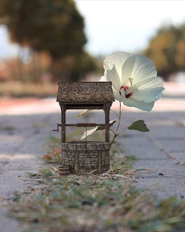 在你身边#越读越有味的人生格言,句句经典,引人深思