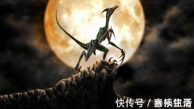 毋容#5本进化变异类小说,基因进化求生,逆袭不断,看得很爽很过瘾!