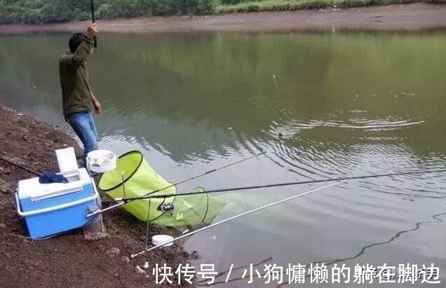 秋天鱼反而难钓不了解鱼的“套路”，鱼再多你也钓不到