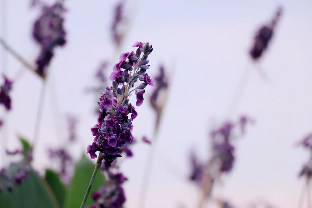 闭口禅!能在这几种特殊情况下保持沉默的人,往往层次很高,很不简单