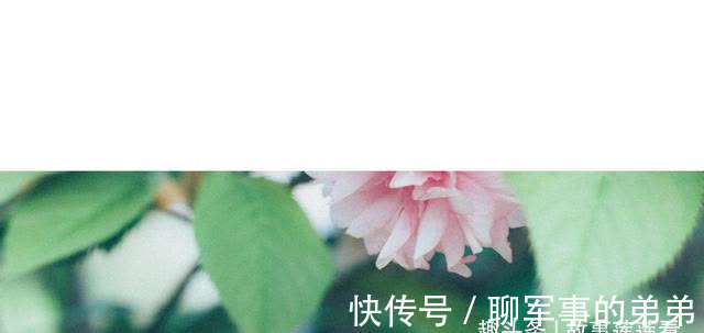 红娘|桃花绽放，红娘牵线，两人重归于好，一生相随，余生缠绵