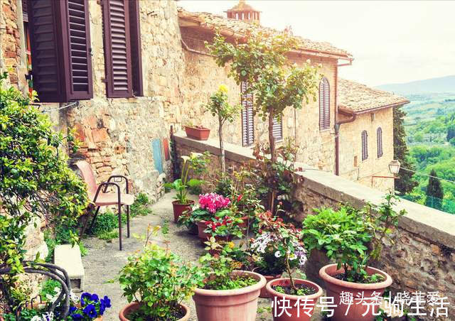 中国传统文化|阳台再小，也能养3种树，小盆就能养，个个都是“传家宝”