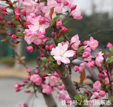 女人|“舍不得花钱”的3大生肖女，一辈子省吃俭用，晚年最有福气！