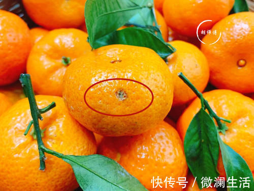 洞眼|吃橘子时,到底是“上火”还是“降火”?如果不懂,那就尴尬了