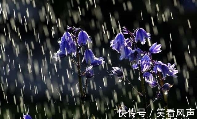 牛人|很像“及时雨”的4生肖，言出必行，心胸广，雪中送炭，很靠谱