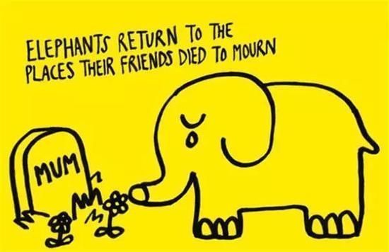 真正的朋友#你不知道的26条趣味冷知识:说脏话可以缓解疼痛