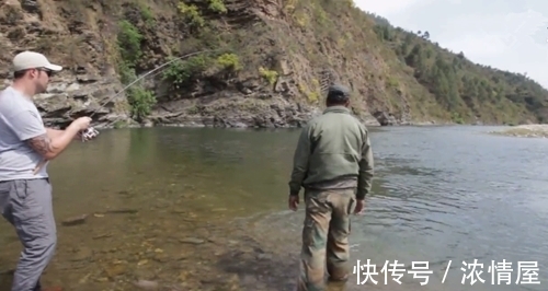 钓鱼|山中意外钓获大鱼,体型像草鱼但鱼鳞金灿灿的,什么鱼?