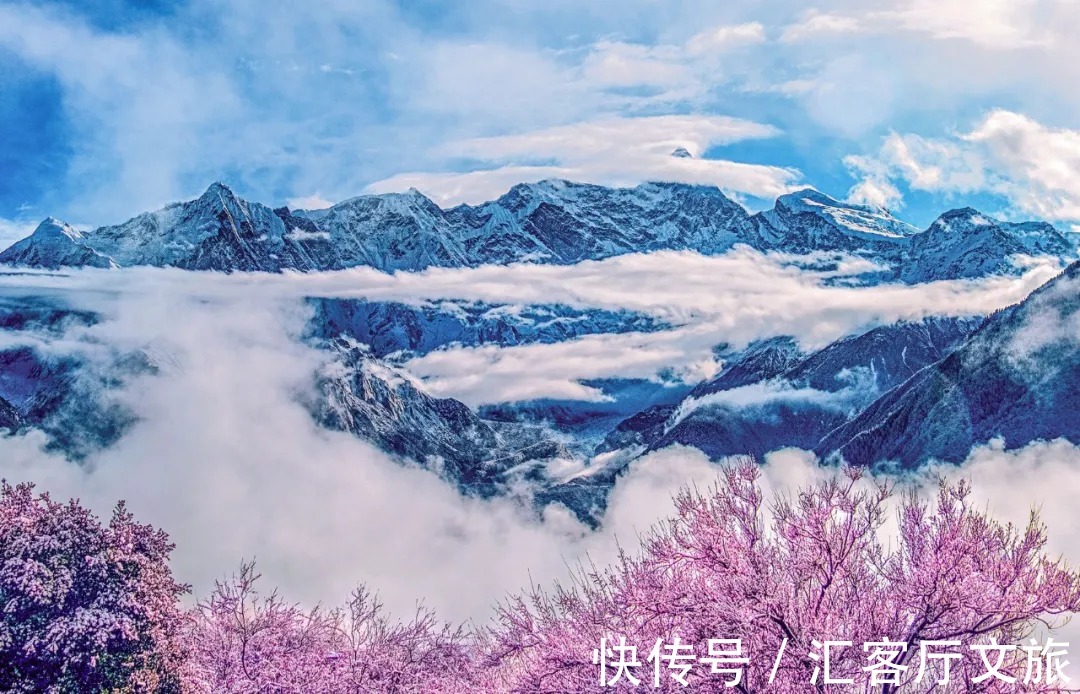 雪山|春天,让人憧憬的旅行目的地,莫过于去林芝看桃花!