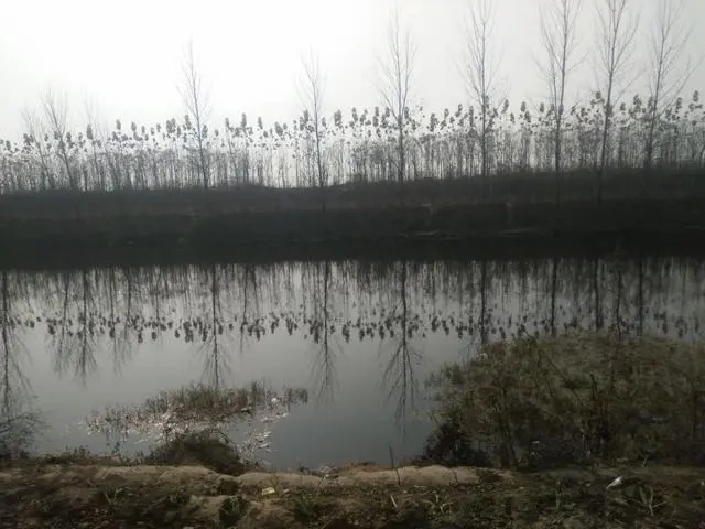 冬天越冷鲫鱼就越大吗?老钓友零下4度实战检验!