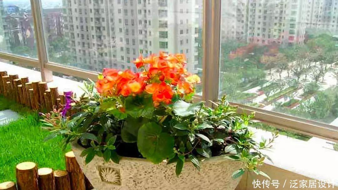 家庭养花,冬天不得不提的7个细节