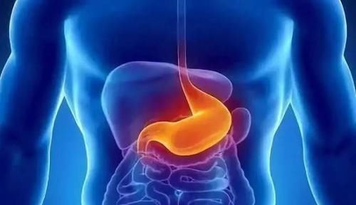 “吃得越多，越會(huì)影響壽命”，到底有沒有科學(xué)依據(jù)？怎么吃長壽