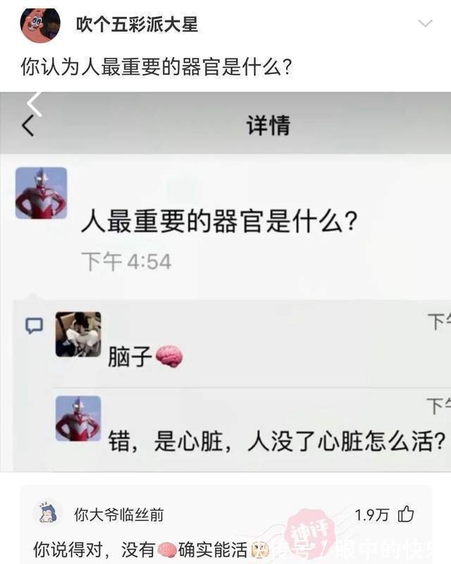 |搞笑合集:村子里有一群神秘人,整日打牌不愁吃喝,哪来的钱