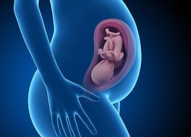 怀孕|怀孕4个月后,为什么晚上胎动频繁?孕妈应该清楚这3个情况!