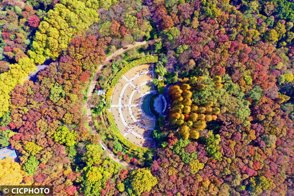 江苏|江苏南京：初冬钟山景如画