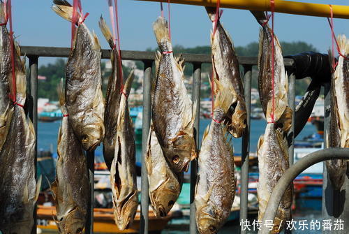 欢乐番茄丨咸鱼的腌制方法和时间,口感好又好吃!