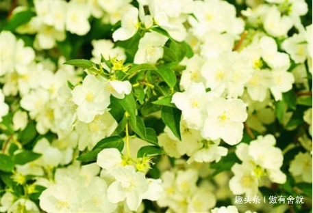 肝阳|女性到了35岁,常吃3种食物,美白肌肤,缓解痛经,预防子宫早衰