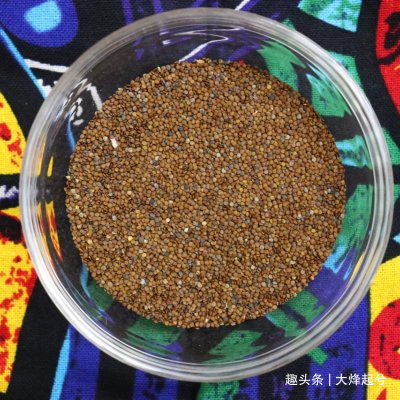 传统红糖冰粉灵魂气泡，是最适合夏天的味道